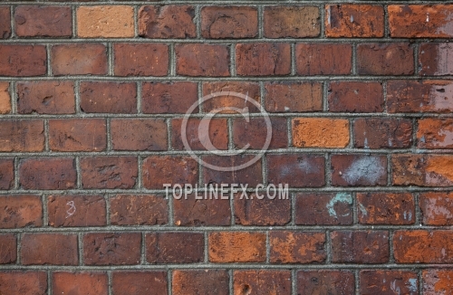 Background of old brick wall texture 05