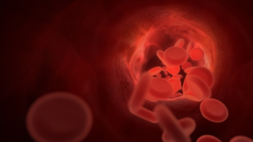 Blood Cells