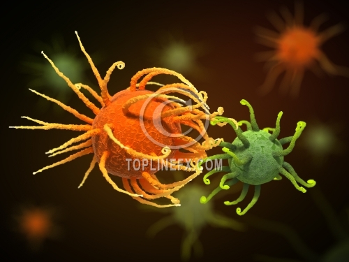 Coronavirus Infection