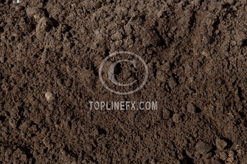 Soil on white background 13